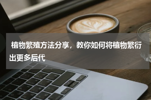  植物繁殖方法分享，教你如何将植物繁衍出更多后代