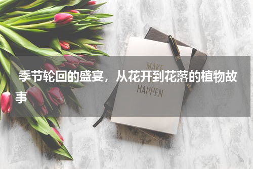  季节轮回的盛宴，从花开到花落的植物故事