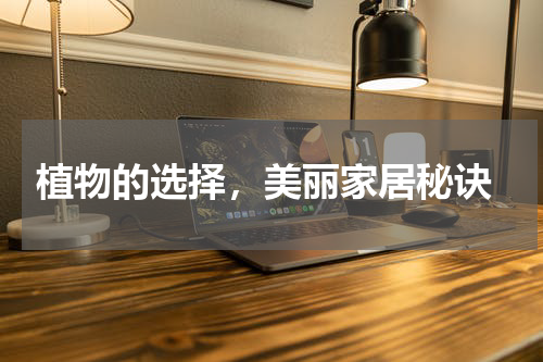  植物的选择，美丽家居秘诀