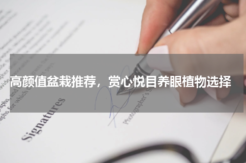  高颜值盆栽推荐，赏心悦目养眼植物选择
