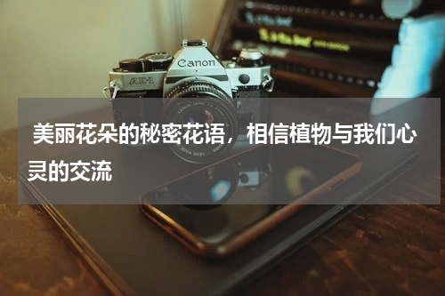  美丽花朵的秘密花语，相信植物与我们心灵的交流