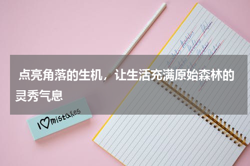  点亮角落的生机，让生活充满原始森林的灵秀气息