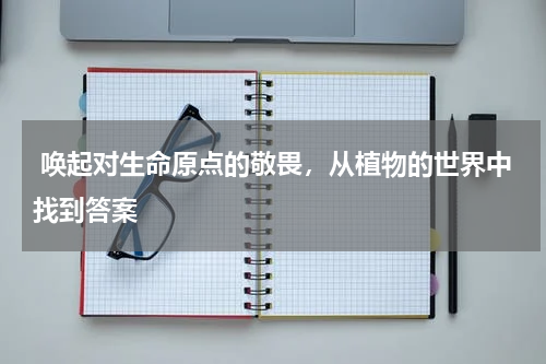  唤起对生命原点的敬畏，从植物的世界中找到答案