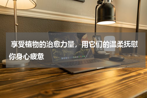  享受植物的治愈力量，用它们的温柔抚慰你身心疲惫