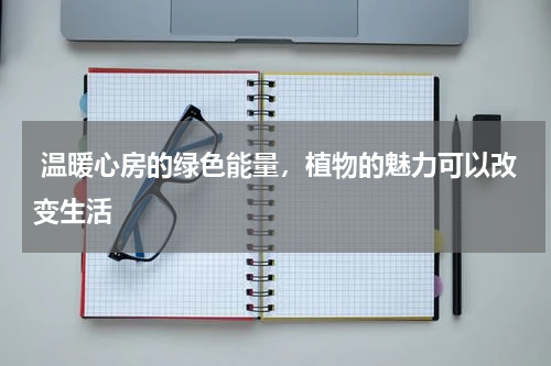  温暖心房的绿色能量，植物的魅力可以改变生活