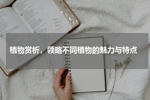 植物赏析，领略不同植物的魅力与特点