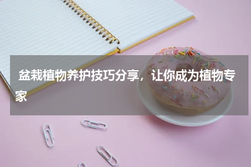  盆栽植物养护技巧分享，让你成为植物专家