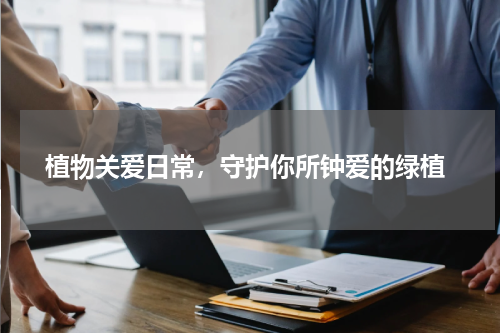  植物关爱日常，守护你所钟爱的绿植