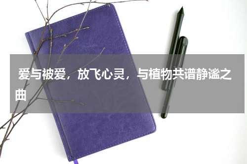  爱与被爱，放飞心灵，与植物共谱静谧之曲