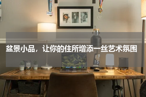  盆景小品，让你的住所增添一丝艺术氛围
