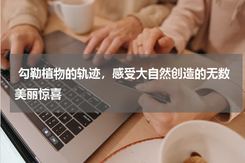  勾勒植物的轨迹，感受大自然创造的无数美丽惊喜