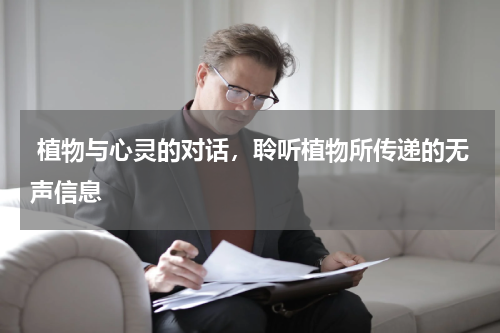  植物与心灵的对话，聆听植物所传递的无声信息