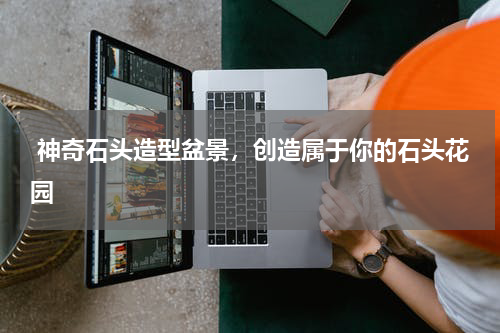  神奇石头造型盆景，创造属于你的石头花园