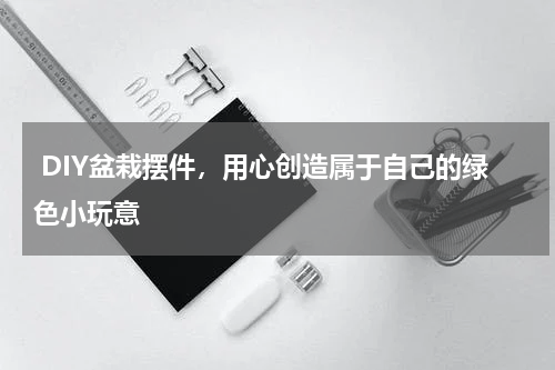 DIY盆栽摆件，用心创造属于自己的绿色小玩意