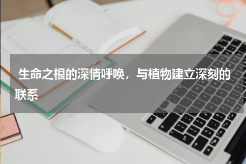  生命之根的深情呼唤，与植物建立深刻的联系