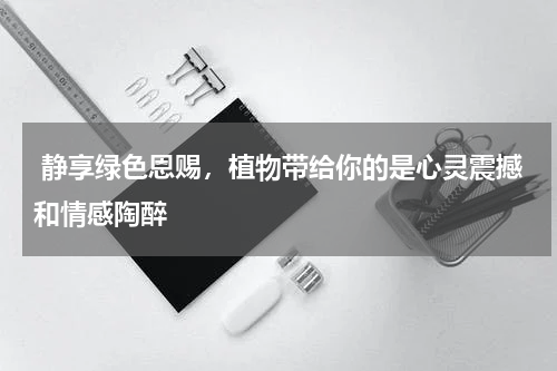  静享绿色恩赐，植物带给你的是心灵震撼和情感陶醉