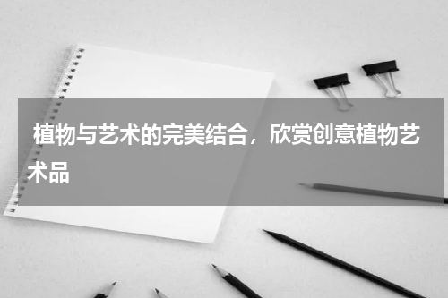  植物与艺术的完美结合，欣赏创意植物艺术品