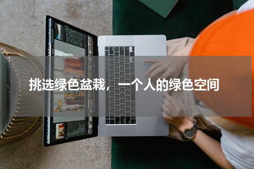  挑选绿色盆栽，一个人的绿色空间