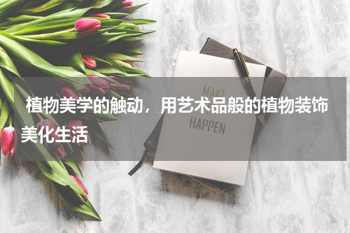  植物美学的触动，用艺术品般的植物装饰美化生活