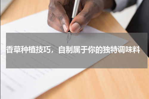  香草种植技巧，自制属于你的独特调味料