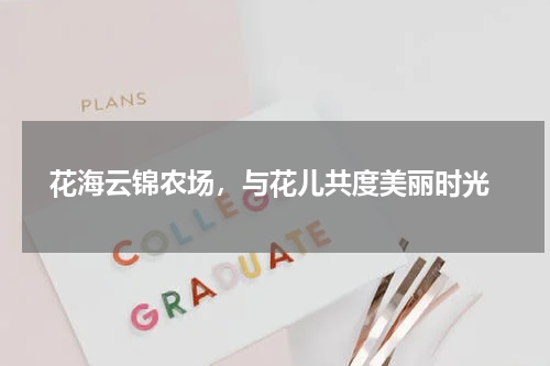  花海云锦农场，与花儿共度美丽时光