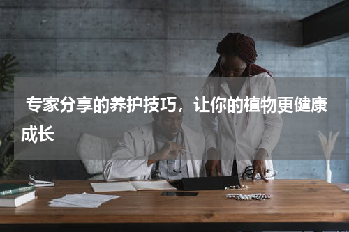  专家分享的养护技巧，让你的植物更健康成长