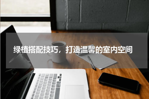  绿植搭配技巧，打造温馨的室内空间