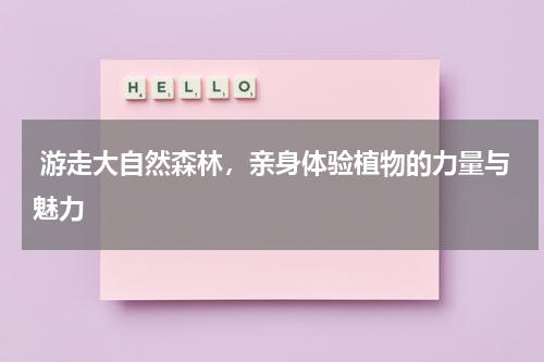  游走大自然森林，亲身体验植物的力量与魅力