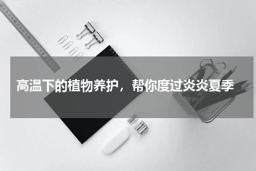  高温下的植物养护，帮你度过炎炎夏季
