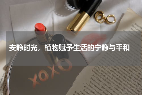  安静时光，植物赋予生活的宁静与平和