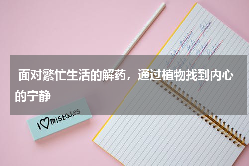  面对繁忙生活的解药，通过植物找到内心的宁静