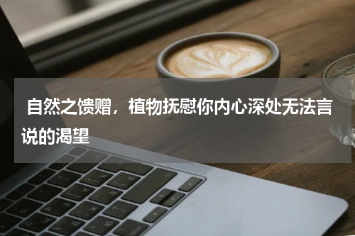  自然之馈赠，植物抚慰你内心深处无法言说的渴望