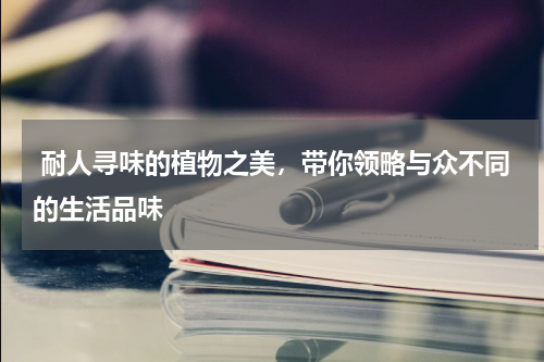  耐人寻味的植物之美，带你领略与众不同的生活品味