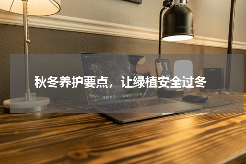  秋冬养护要点，让绿植安全过冬