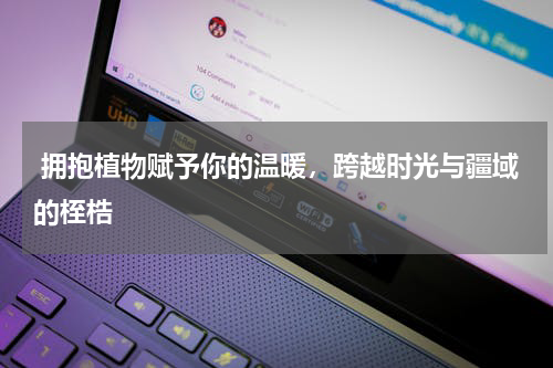  拥抱植物赋予你的温暖，跨越时光与疆域的桎梏