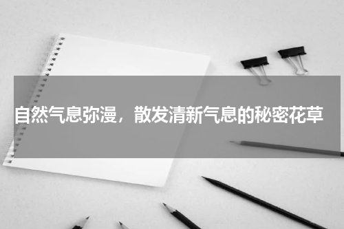  自然气息弥漫，散发清新气息的秘密花草