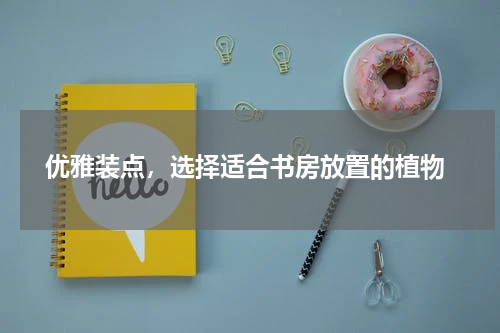  优雅装点，选择适合书房放置的植物