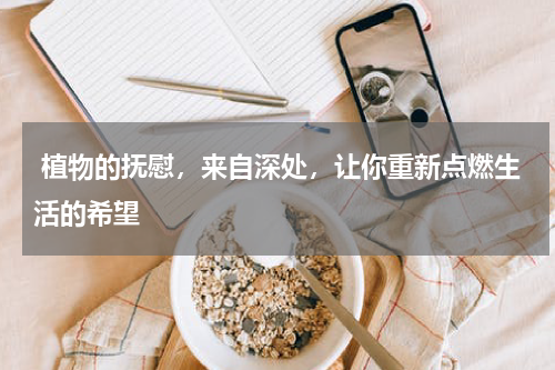  植物的抚慰，来自深处，让你重新点燃生活的希望