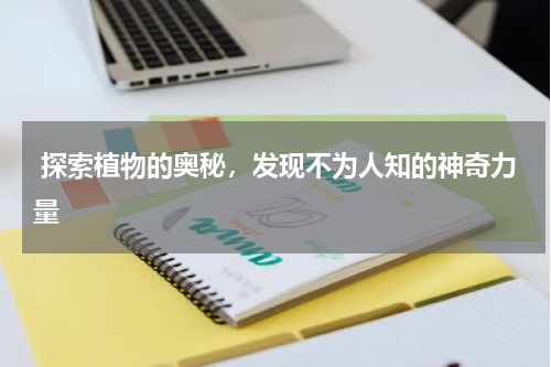  探索植物的奥秘，发现不为人知的神奇力量