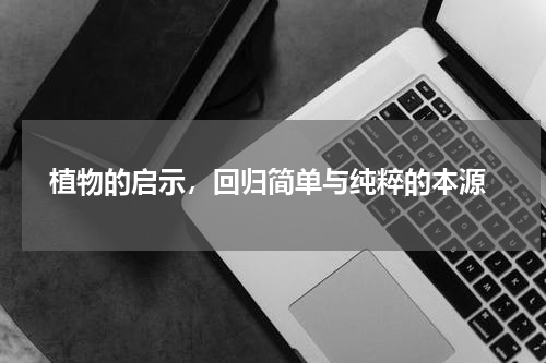  植物的启示，回归简单与纯粹的本源