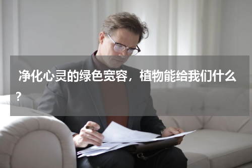  净化心灵的绿色宽容，植物能给我们什么？