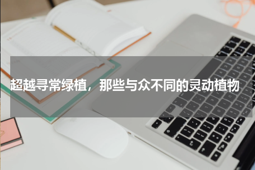 超越寻常绿植，那些与众不同的灵动植物