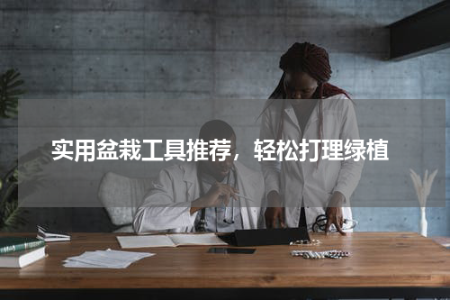  实用盆栽工具推荐，轻松打理绿植