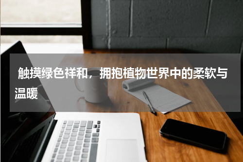  触摸绿色祥和，拥抱植物世界中的柔软与温暖