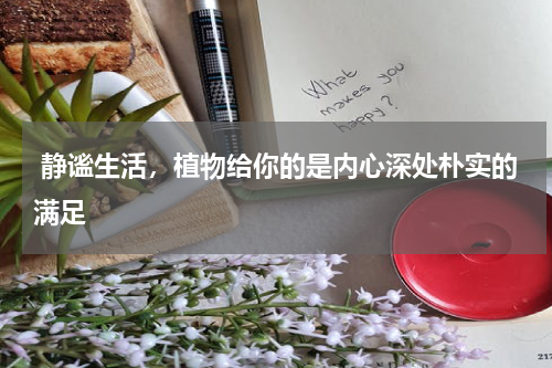  静谧生活，植物给你的是内心深处朴实的满足