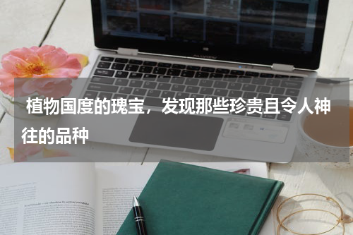  植物国度的瑰宝，发现那些珍贵且令人神往的品种