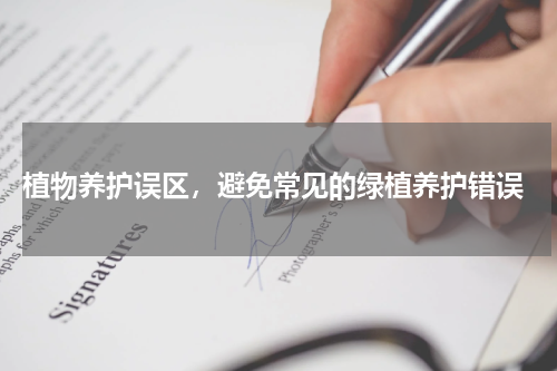  植物养护误区，避免常见的绿植养护错误