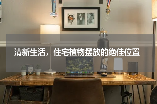  清新生活，住宅植物摆放的绝佳位置