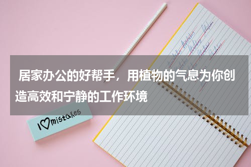  居家办公的好帮手，用植物的气息为你创造高效和宁静的工作环境