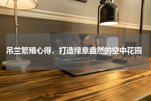 吊兰繁殖心得，打造绿意盎然的空中花园